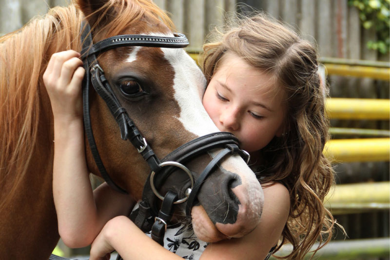Reiten im Schwarzwald