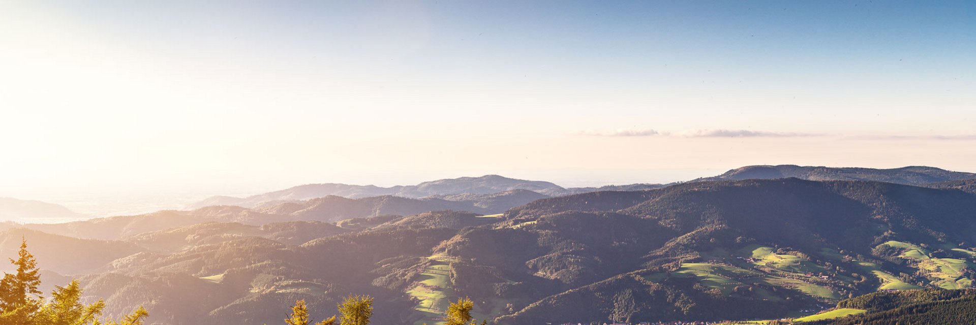 Schwarzwald
