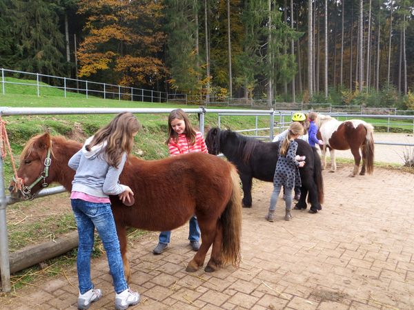 Schlosshof der Urlaubsbauernhof – Bild 6