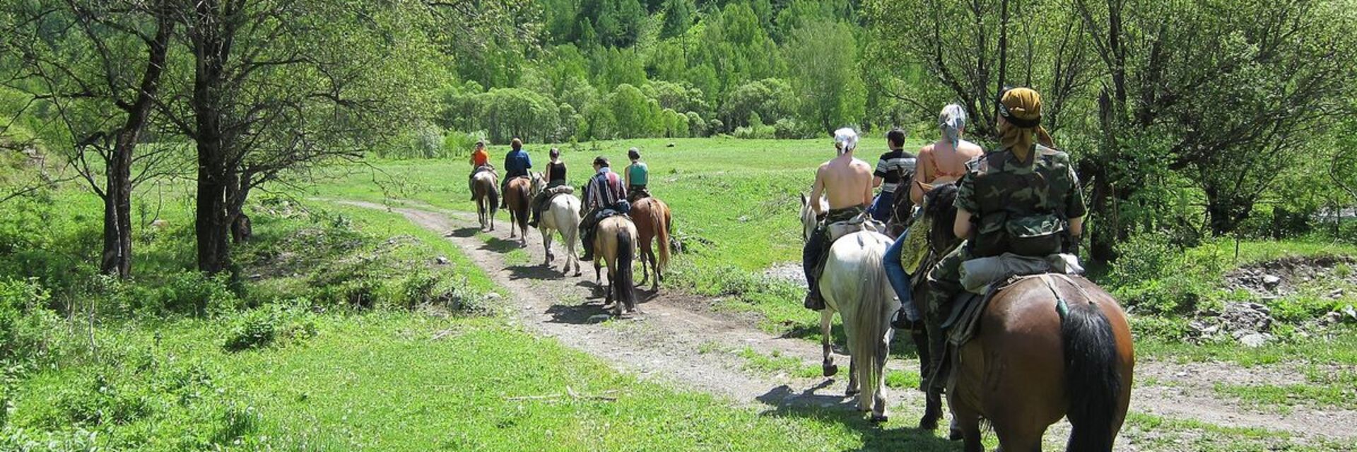 Reiturlaub im Schwarzwald