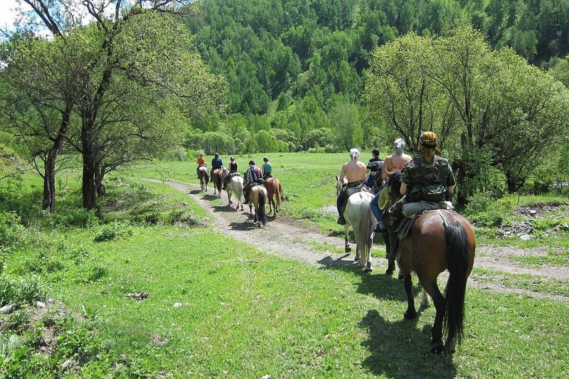 Reiten