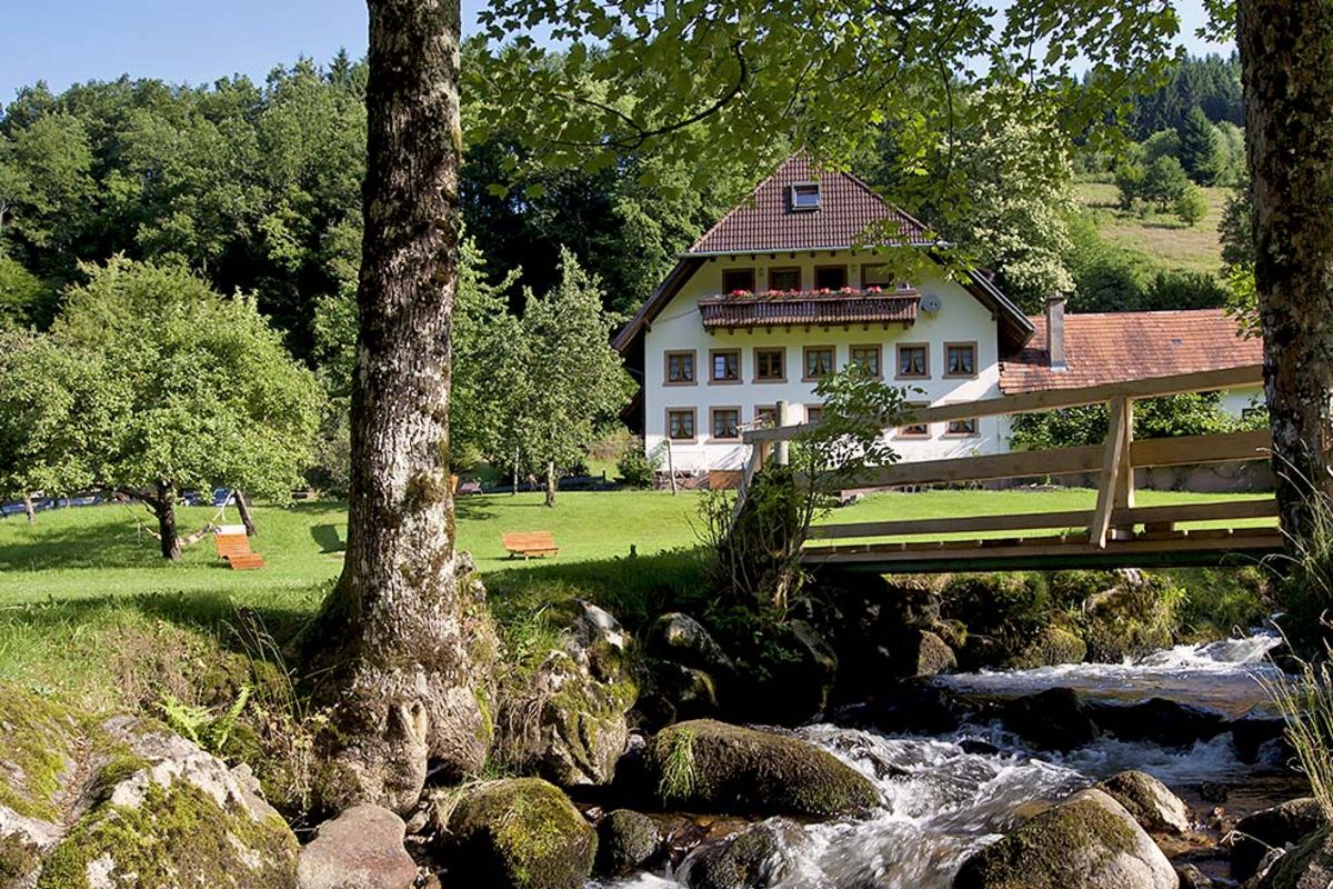 Schingerhof – Bild 1