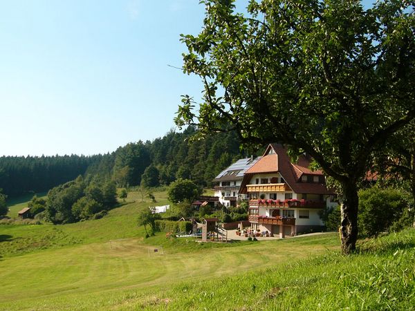 Schlosshof der Urlaubsbauernhof – Bild 5