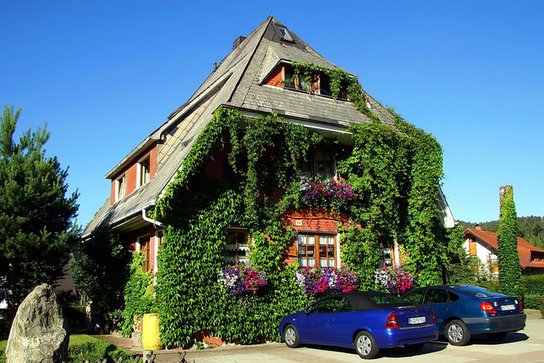 Pension Haus am Tannenhain