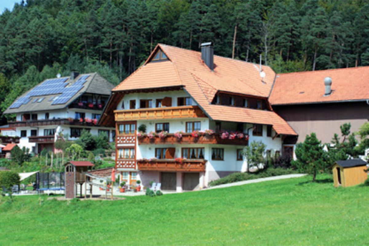 Schlosshof der Urlaubsbauernhof – Bild 1