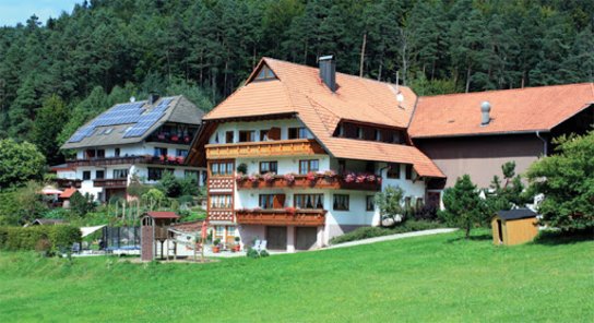 Schlosshof der Urlaubsbauernhof