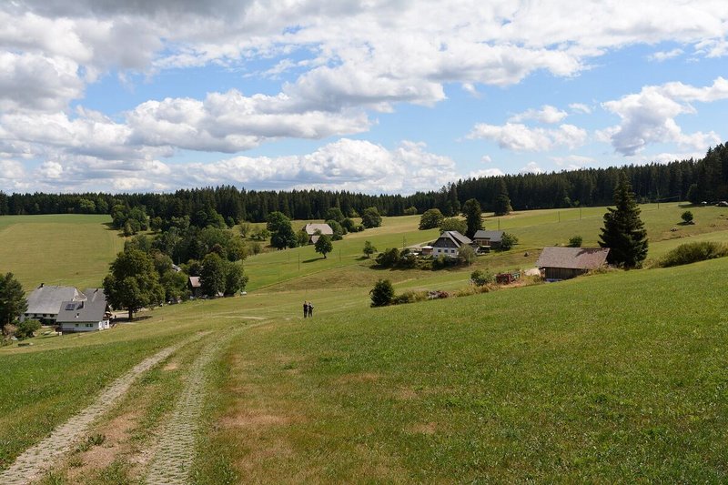 Wandern