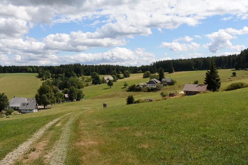 Wandern