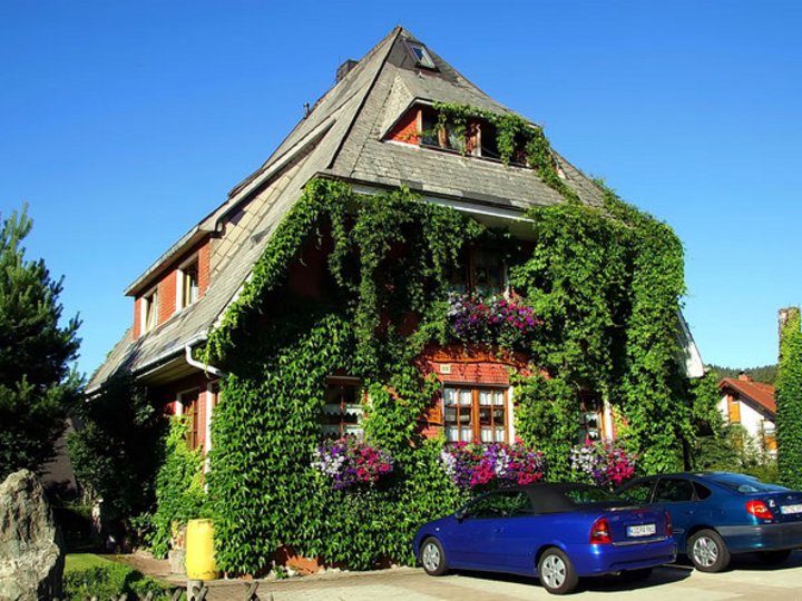 Pension Haus am Tannenhain in Titisee